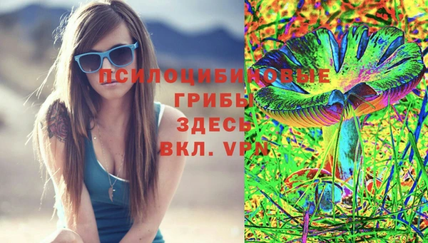 ГАЛЛЮЦИНОГЕННЫЕ ГРИБЫ Беломорск