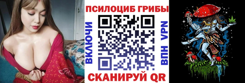 Галлюциногенные грибы Magic Shrooms  где купить наркоту  Высоцк 